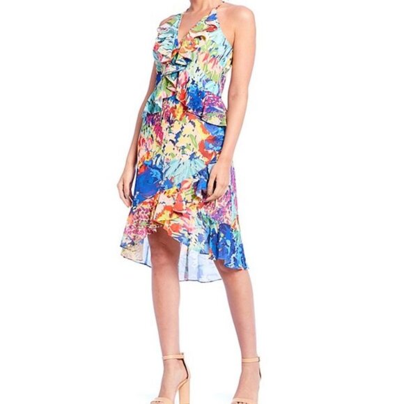 Badgley Mischka Dresses & Skirts - Badgley Mischka Belle Womens Ruffled Sleeveless Dress Multicolor Floral Size 2